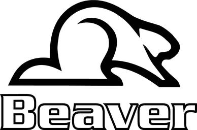 beaver